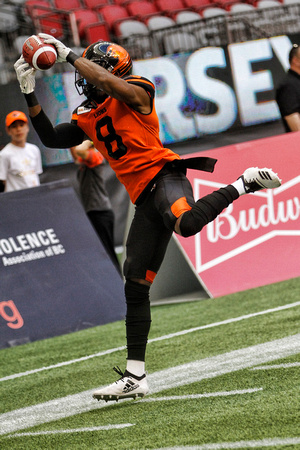 BCLIONS061618_0205
